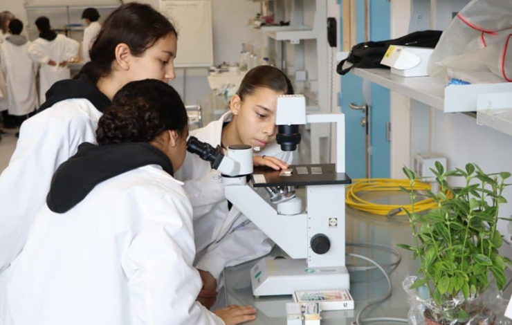 Médiation : éveiller les jeunes aux sciences et aux enjeux environnementaux