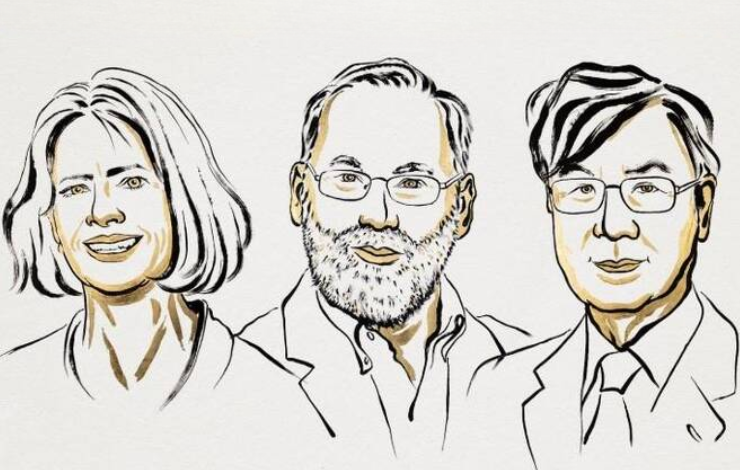 Tolérance immunitaire : décryptage du prix Nobel de Médecine et de Physiologie 2025