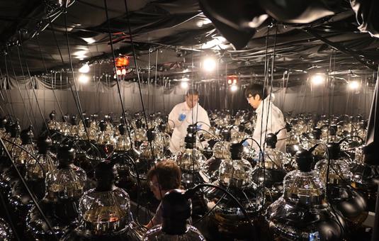 Mesurer les neutrinos pour comprendre l’Univers
