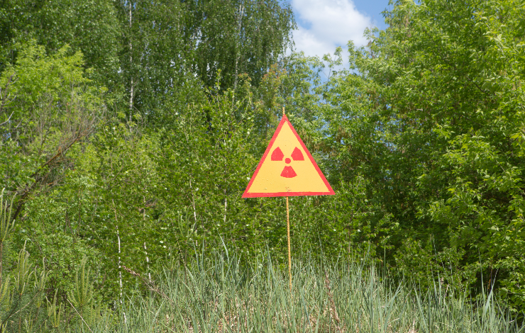 Quand l’uranium perturbe la régulation génétique des plantes