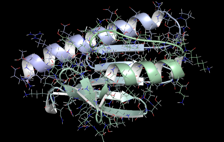 La régulation de la biosynthèse des centres Fe-s enfin élucidée !