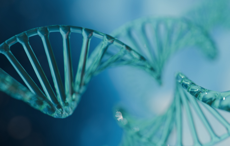 Un trio de protéines essentiel à la transformation naturelle des bactéries