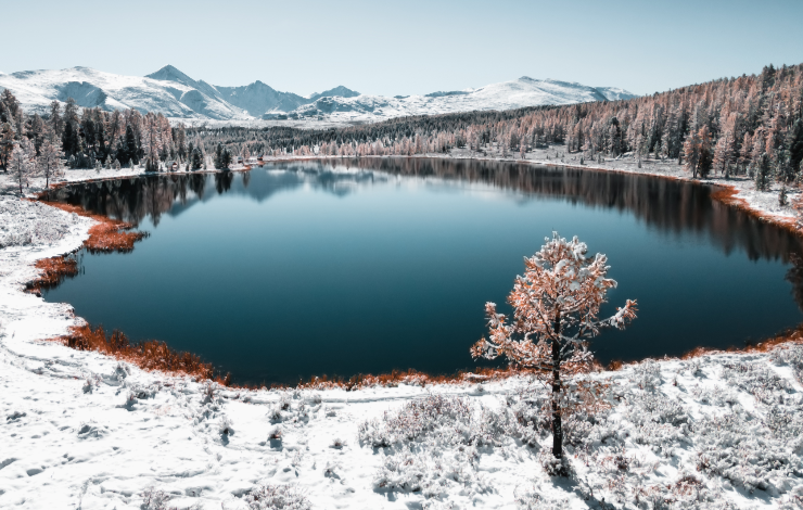Augmentation de la concentration de carbone dans les lacs de Sibérie