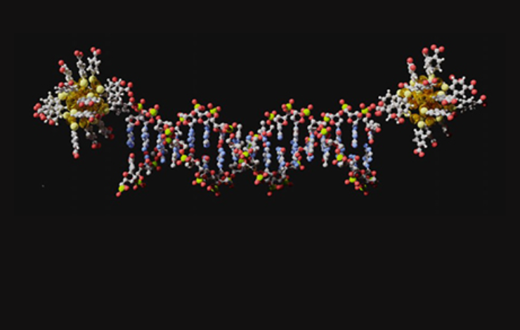 Des nano-architectures photoniques guidées par l’ADN pour la biomédecine