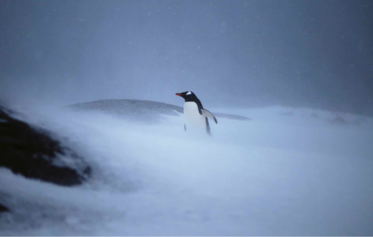 Antarctique : des vents d’hiver bouleversés par le changement climatique