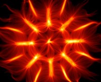 Biologie intégrative de la cellule et mécanismes fondamentaux du vivant