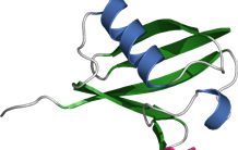 Observer les états fugaces des protéines