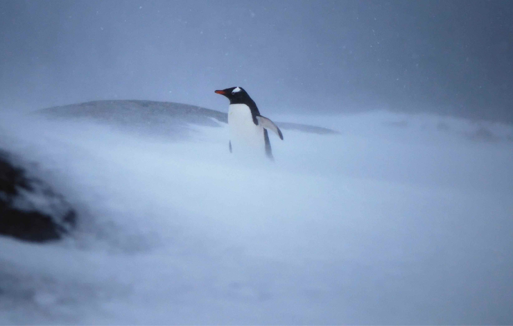 Antarctique : des vents d’hiver bouleversés par le changement climatique