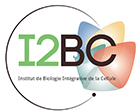 Logo_I2BC.jpg