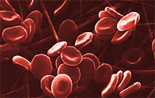 Hemoglobinopathies: a gene therapy modifies 100% of targeted cells