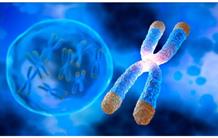 A new mechanism protecting telomeres from chromosomal fusions