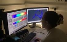 Une semaine de travaux pratiques sur la stabilité du génome