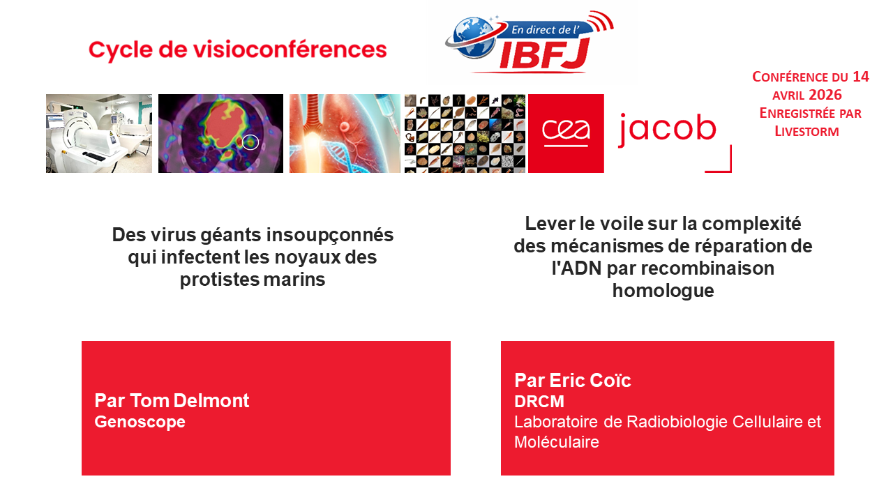 En Direct de l'IBFJ, mardi 14 avril 2026