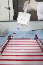 Lab Biological Resources - QC