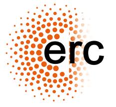 logo ERC.jpg