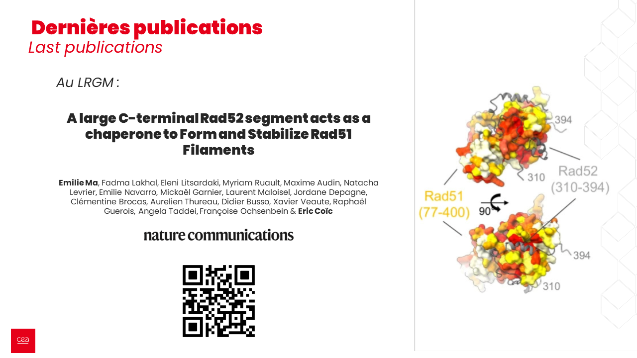 Publication LRGM