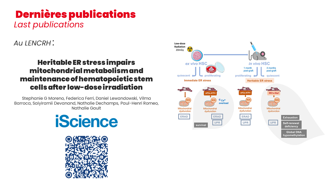 Publication LENCRH