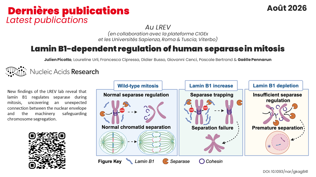 Publication LREV