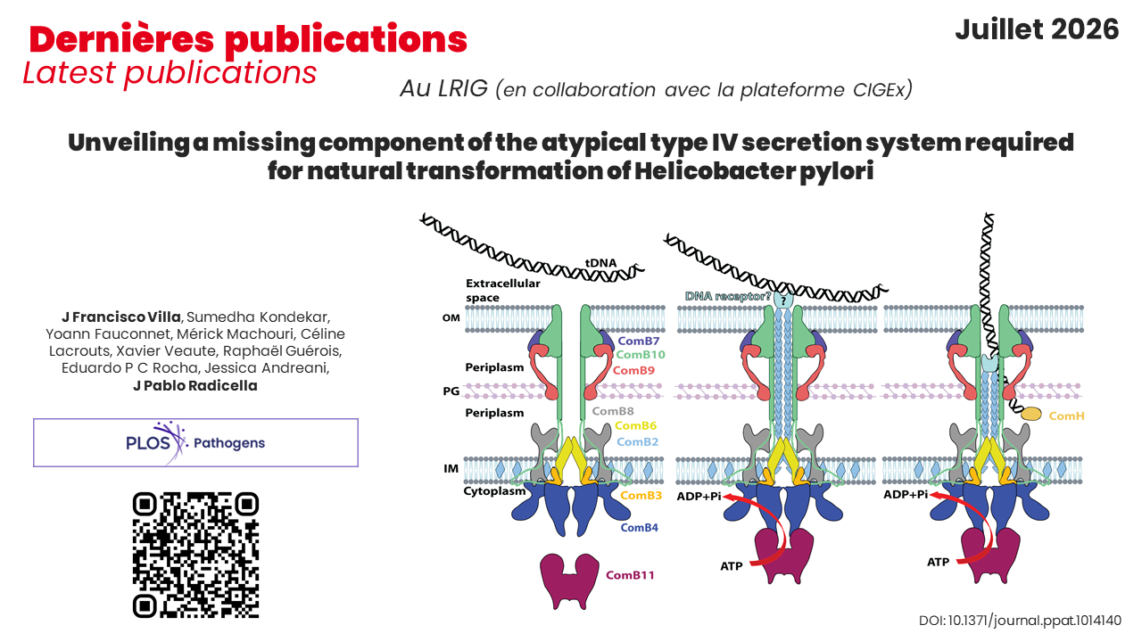 Publication LRIG-copy