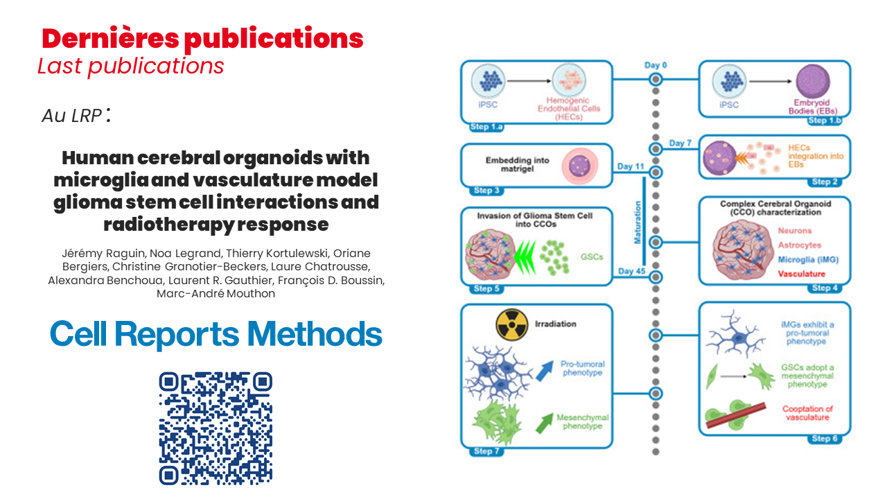 Publication LRP