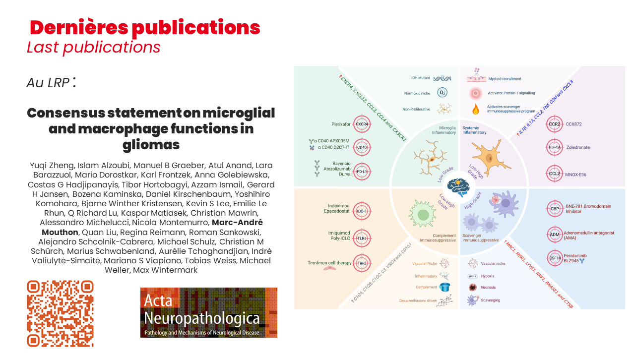 Publication LRP