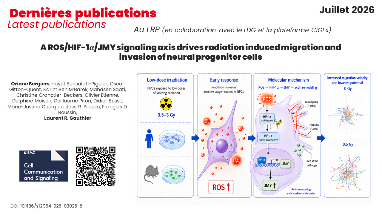 Publication LRP-copy