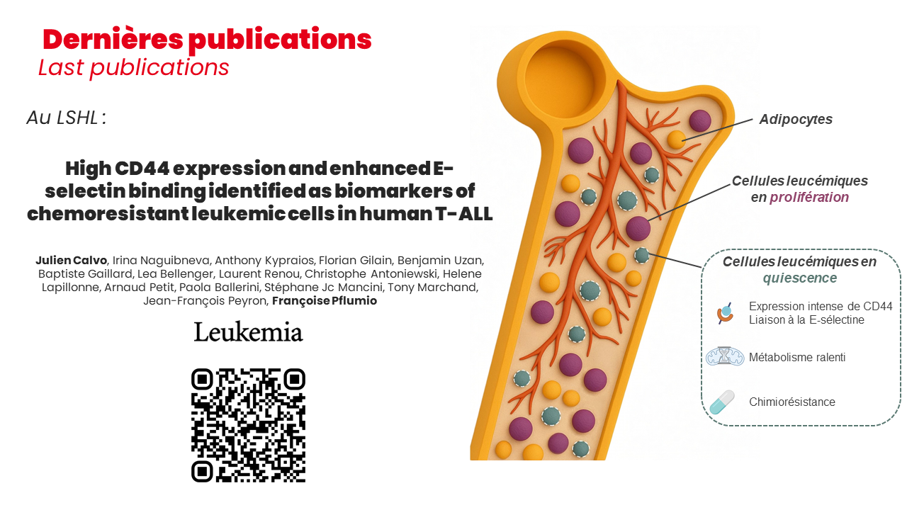Publication LENCRH