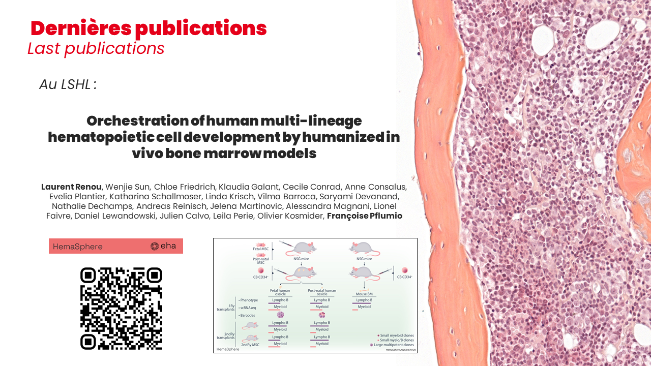 Publication LENCRH