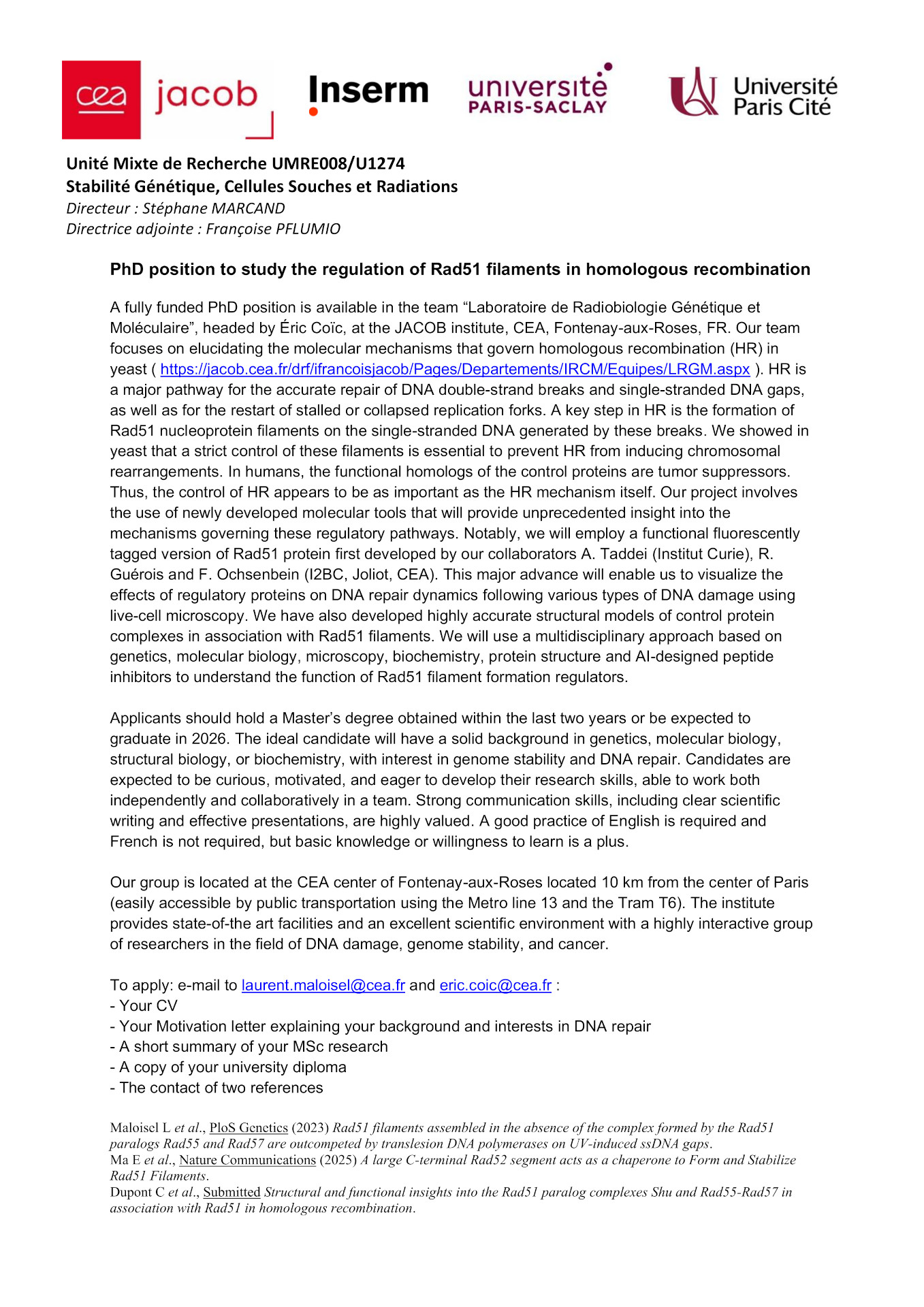 PhD position to study the regulation of Rad51 filaments in homologous recombination