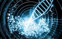 Le ZNA, un nouveau support génétique pour la biologie et la médecine