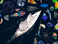 Nouvelle expédition Tara : à la découverte du microbiome océanique