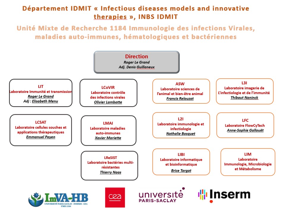 Organigramme IDMIT 2025 v2.jpg