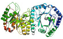 Enzymes in quest of function