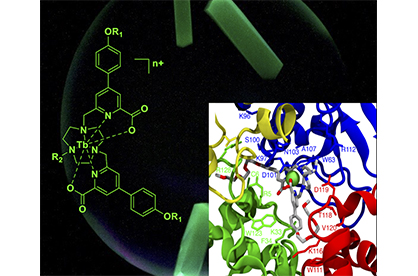 Nouvel outil révolutionnant l’imagerie des protéines