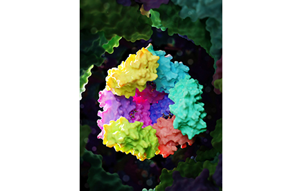 Isoler des rubis de protéines venant d’un bioréacteur dégradant le méthane