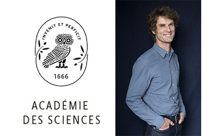 François Parcy, elected to the Academy of Sciences – Integrative Biology Section