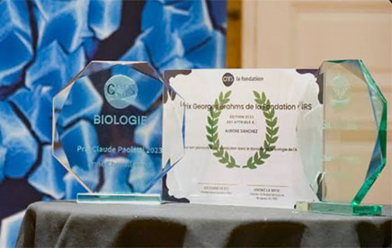 Rebekka Wild, lauréate du Prix Paoletti 2025