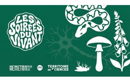 Récepteurs neuronaux : comment les poisons trouvent leur cible