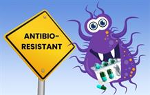 New natural antimicrobials in the fight against antibiotic resistance