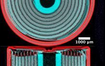 L’origine des défauts au cœur d’une batterie lithium-ion analysée par imagerie X et neutrons