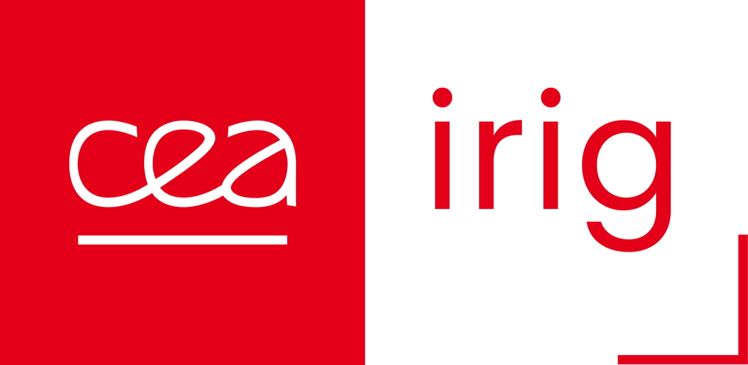 Interdisciplinary Research Institute of Grenoble (IRIG)