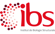 Institute of Structural Biology (IBS)