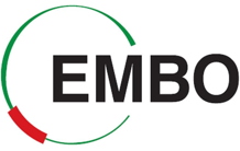Laurent Blanchoin est élu membre de l'EMBO