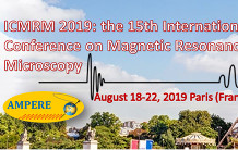 Success for the 2019 ICMRM conference co-organized by Luisa Ciobanu