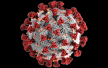 COVID19 : les équipes de l’institut Joliot se mobilisent !