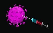 Comment l’identification de formes atténuées du virus SARS-CoV-2 pourrait aider à maitriser l’épidémie actuelle ?