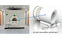 Focus plateforme IRM 7 T de NeuroSpin
