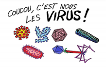 Une BD pour comprendre les virus réalisée par Francis Haraux