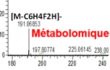 Altération du métabolisme cérébral lors de l’encéphalopathie hépatique démontrée par analyse métabolomique.