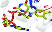 Plus on est de fous, plus on rit.